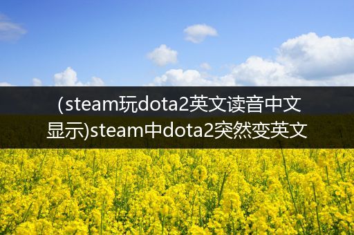 （steam玩dota2英文读音中文显示)steam中dota2突然变英文