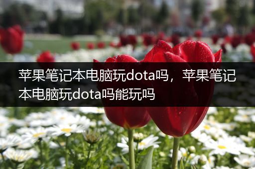 苹果笔记本电脑玩dota吗，苹果笔记本电脑玩dota吗能玩吗