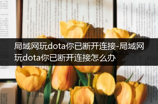 局域网玩dota你已断开连接-局域网玩dota你已断开连接怎么办