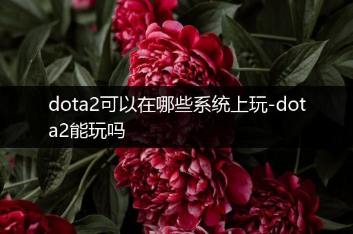 dota2可以在哪些系统上玩-dota2能玩吗