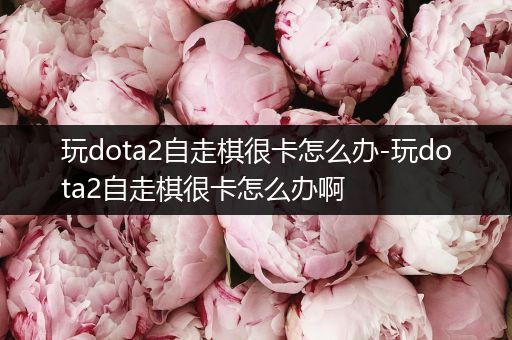 玩dota2自走棋很卡怎么办-玩dota2自走棋很卡怎么办啊