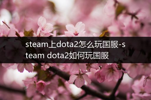 steam上dota2怎么玩国服-steam dota2如何玩国服