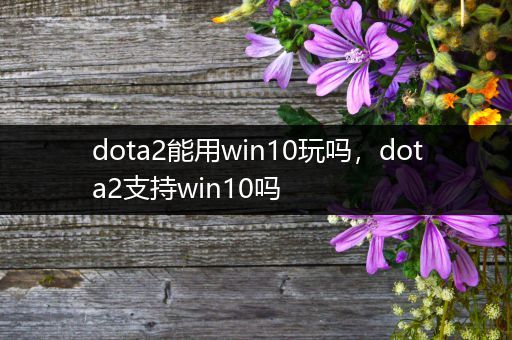 dota2能用win10玩吗，dota2支持win10吗