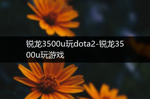 锐龙3500u玩dota2-锐龙3500u玩游戏