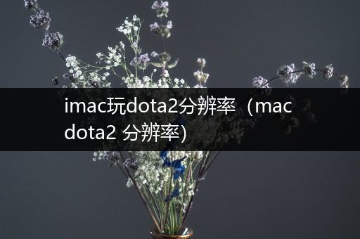 imac玩dota2分辨率（mac dota2 分辨率）