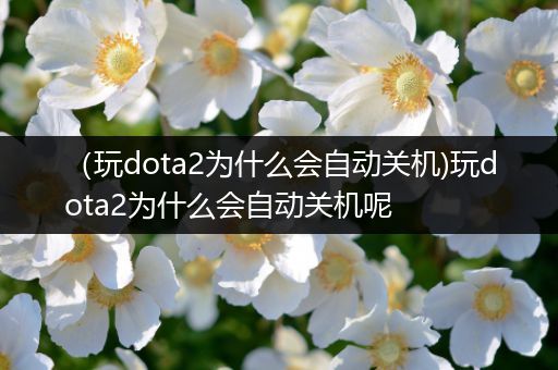 （玩dota2为什么会自动关机)玩dota2为什么会自动关机呢