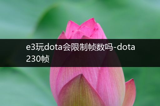 e3玩dota会限制帧数吗-dota230帧