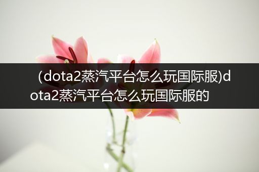 （dota2蒸汽平台怎么玩国际服)dota2蒸汽平台怎么玩国际服的