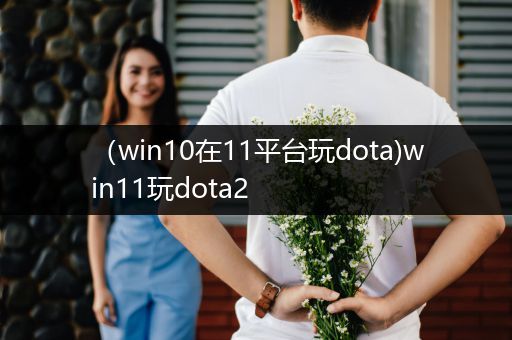 （win10在11平台玩dota)win11玩dota2