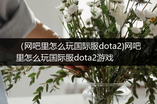 （网吧里怎么玩国际服dota2)网吧里怎么玩国际服dota2游戏