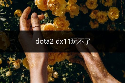 dota2 dx11玩不了