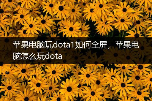 苹果电脑玩dota1如何全屏，苹果电脑怎么玩dota