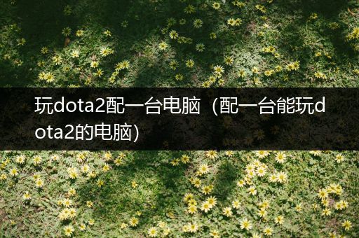 玩dota2配一台电脑（配一台能玩dota2的电脑）
