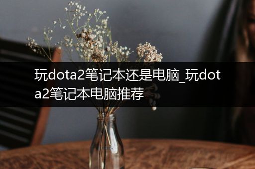 玩dota2笔记本还是电脑_玩dota2笔记本电脑推荐