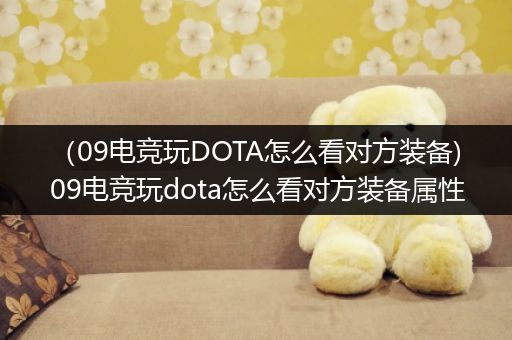（09电竞玩DOTA怎么看对方装备)09电竞玩dota怎么看对方装备属性