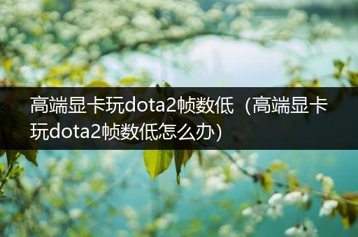 高端显卡玩dota2帧数低（高端显卡玩dota2帧数低怎么办）