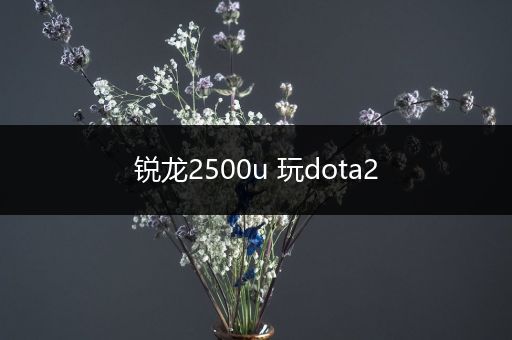 锐龙2500u 玩dota2