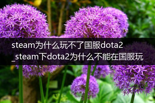 steam为什么玩不了国服dota2_steam下dota2为什么不能在国服玩