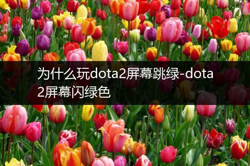 为什么玩dota2屏幕跳绿-dota2屏幕闪绿色