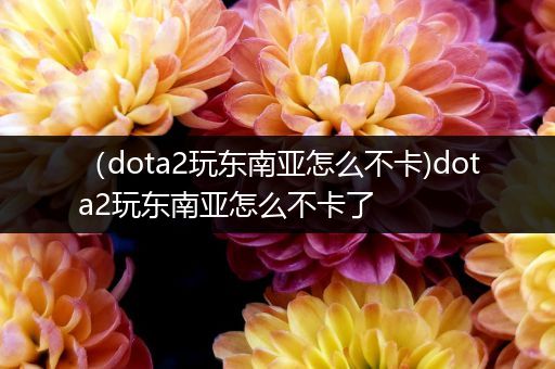 （dota2玩东南亚怎么不卡)dota2玩东南亚怎么不卡了