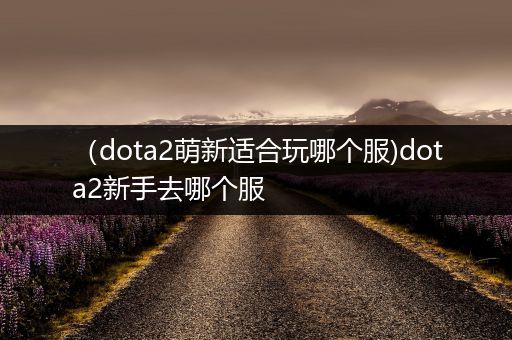 （dota2萌新适合玩哪个服)dota2新手去哪个服