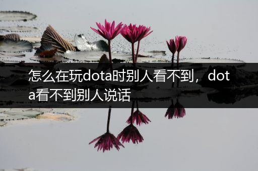 怎么在玩dota时别人看不到，dota看不到别人说话