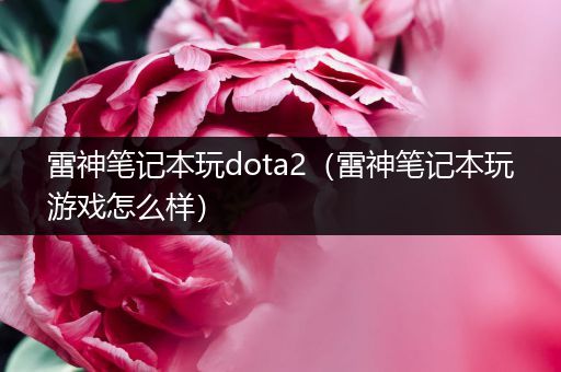 雷神笔记本玩dota2（雷神笔记本玩游戏怎么样）