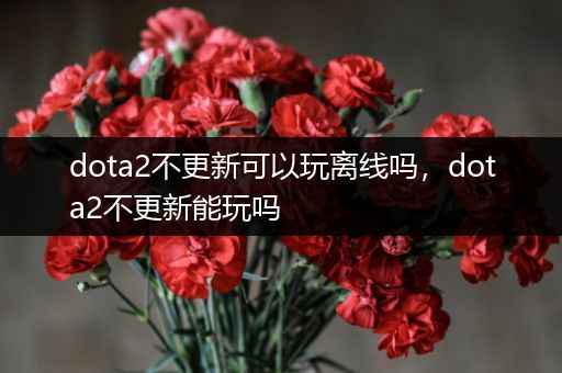 dota2不更新可以玩离线吗，dota2不更新能玩吗
