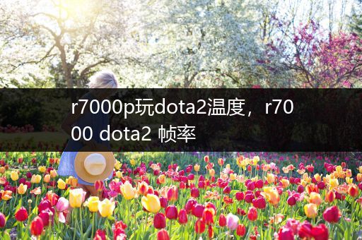 r7000p玩dota2温度，r7000 dota2 帧率