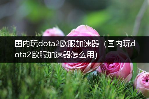 国内玩dota2欧服加速器（国内玩dota2欧服加速器怎么用）