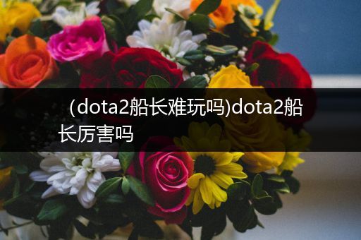 （dota2船长难玩吗)dota2船长厉害吗