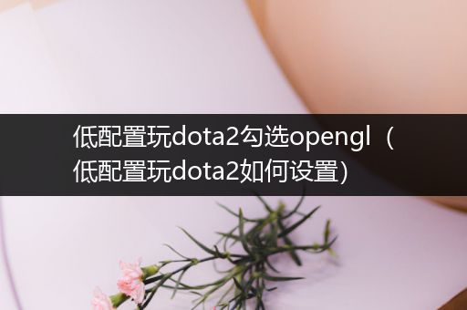 低配置玩dota2勾选opengl（低配置玩dota2如何设置）