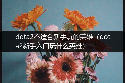 dota2不适合新手玩的英雄（dota2新手入门玩什么英雄）