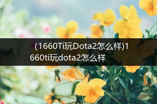 （1660Ti玩Dota2怎么样)1660ti玩dota2怎么样