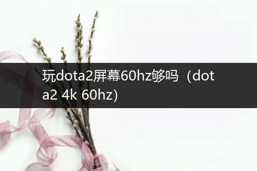 玩dota2屏幕60hz够吗（dota2 4k 60hz）