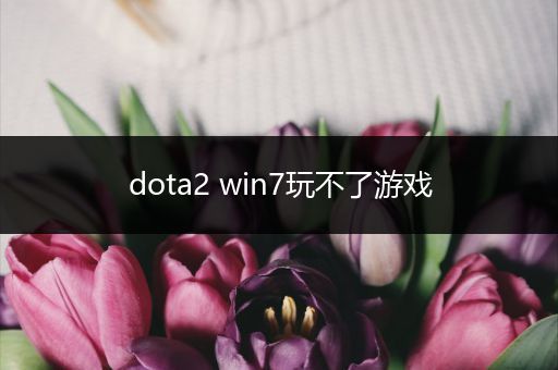 dota2 win7玩不了游戏