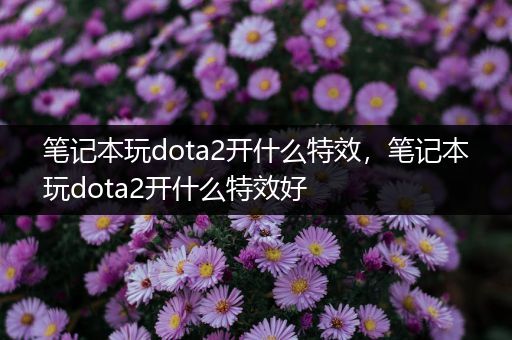 笔记本玩dota2开什么特效，笔记本玩dota2开什么特效好