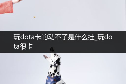 玩dota卡的动不了是什么挂_玩dota很卡