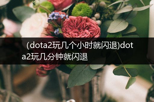 （dota2玩几个小时就闪退)dota2玩几分钟就闪退