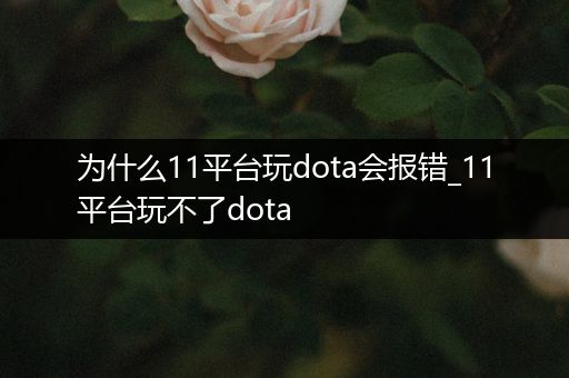 为什么11平台玩dota会报错_11平台玩不了dota