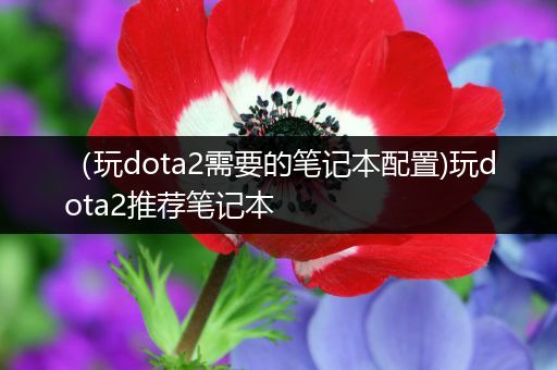 （玩dota2需要的笔记本配置)玩dota2推荐笔记本