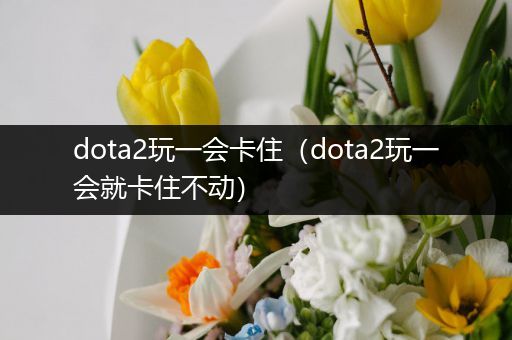 dota2玩一会卡住（dota2玩一会就卡住不动）