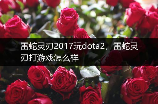 雷蛇灵刃2017玩dota2，雷蛇灵刃打游戏怎么样