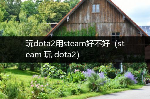 玩dota2用steam好不好（steam 玩 dota2）