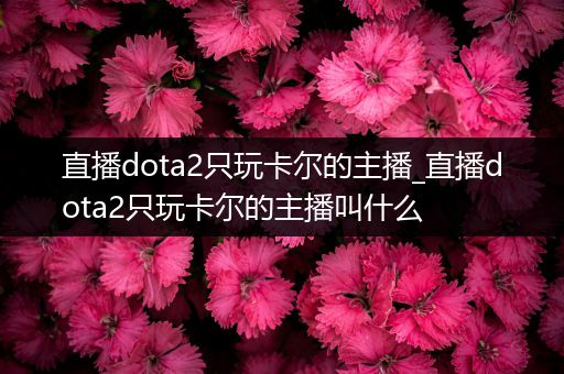 直播dota2只玩卡尔的主播_直播dota2只玩卡尔的主播叫什么