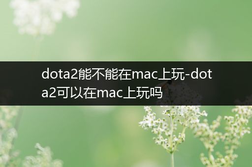 dota2能不能在mac上玩-dota2可以在mac上玩吗