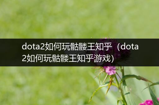 dota2如何玩骷髅王知乎（dota2如何玩骷髅王知乎游戏）