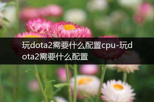 玩dota2需要什么配置cpu-玩dota2需要什么配置