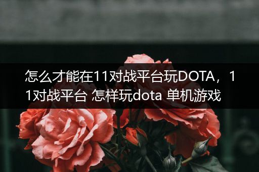 怎么才能在11对战平台玩DOTA，11对战平台 怎样玩dota 单机游戏