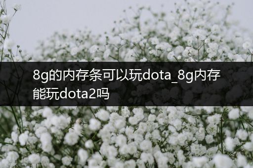 8g的内存条可以玩dota_8g内存能玩dota2吗